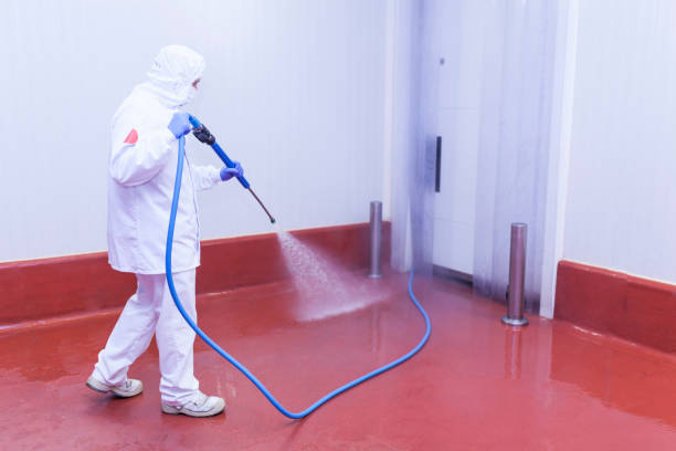 Best Soft Washing  in Newton, IL